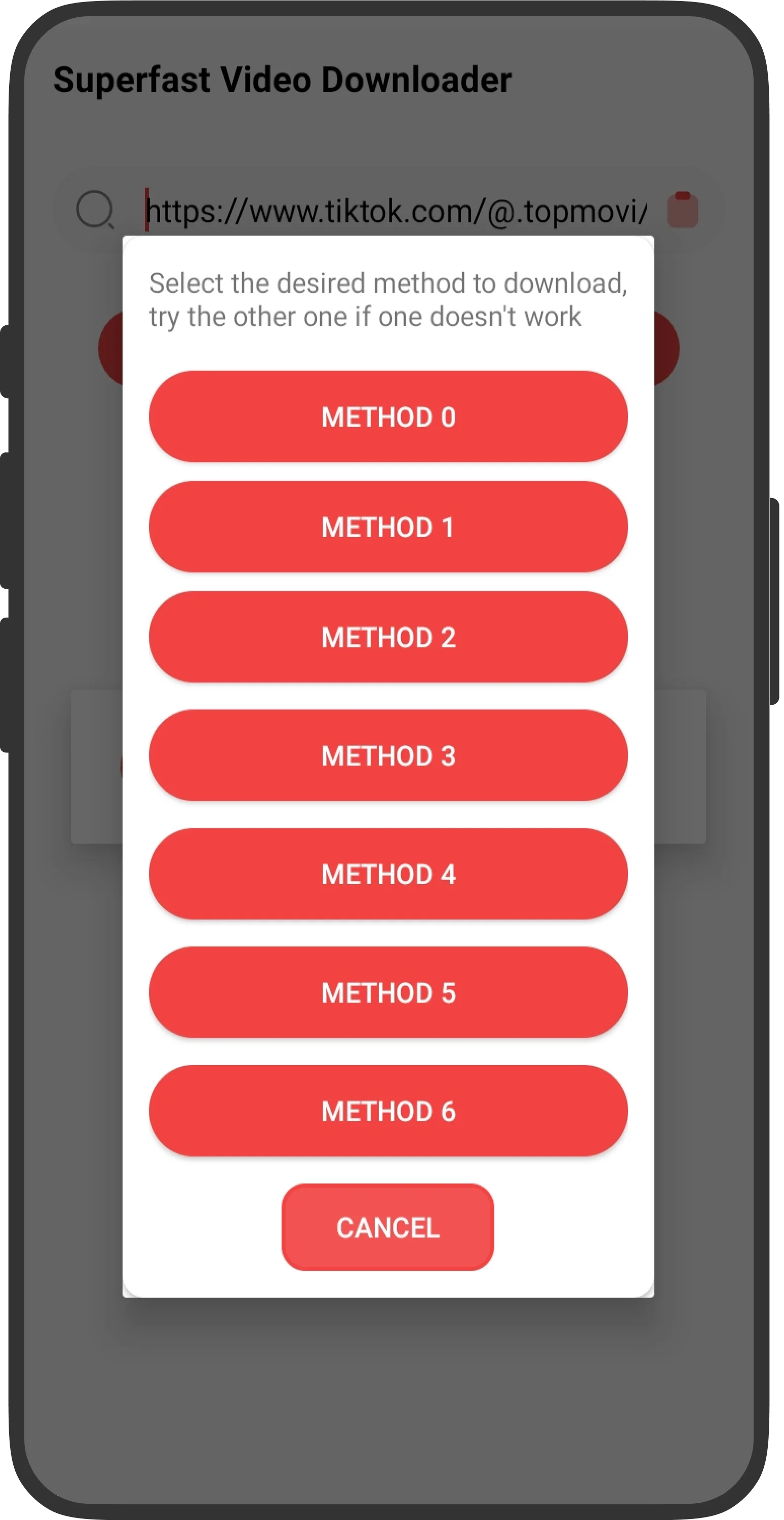 Select video format